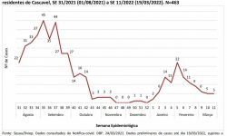 Gráficos indicam queda brusca do número de casos positivos para Covid-19, em Cascavel