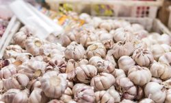 Lei Municipal autoriza a venda de alho a granel em comércio