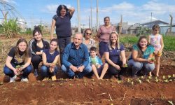 Alunos do Centro Universitário Univel, implantam projeto de horta comunitária no bairro Interlagos.